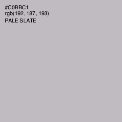 #C0BBC1 - Pale Slate Color Image